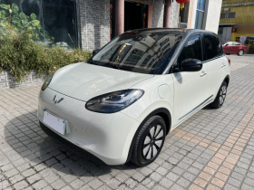 五菱汽车 五菱缤果 2023款 333km 悦享+款