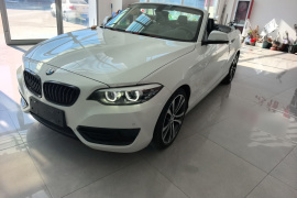 宝马2系(进口) 2019款 225i 敞篷轿跑车 运动设计套装