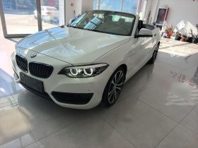 宝马2系(进口) 2019款 225i 敞篷轿跑车 运动设计套装