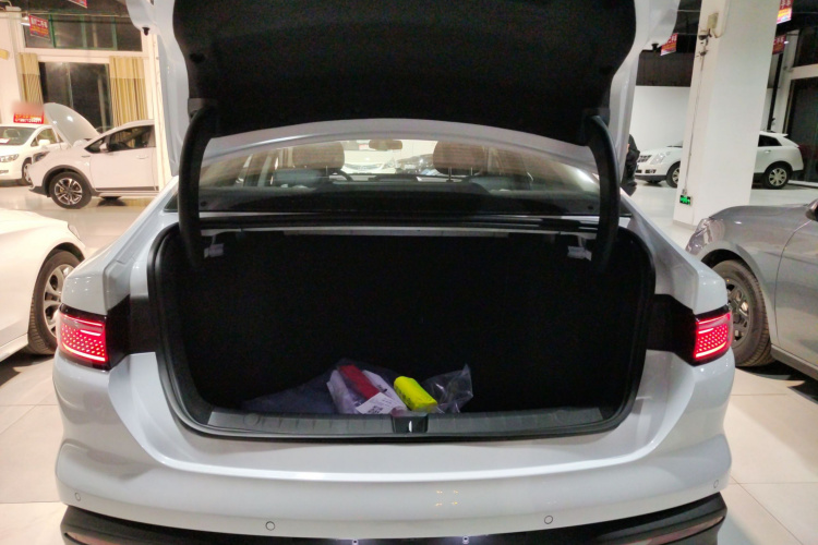 比亚迪 海豹05 DM-i 2026款 DM-i 128KM豪华型局部细节23