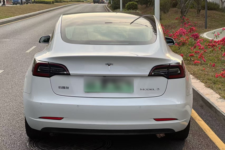 特斯拉 Model 3 2020款 改款 长续航后轮驱动版车身外观6004