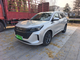 蓝电E5 2023款 1.5L DE-i 100KM畅享型 5座