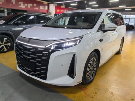 比亚迪 夏 2025款 DM-i 1.5T 180km 卓越型