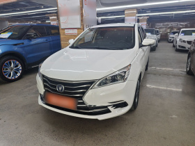 长安 逸动DT 2019款 1.6L 自动智享型 国VI