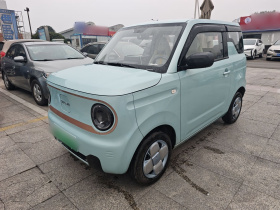 吉利银河 2024款 熊猫mini 200km 耐力熊