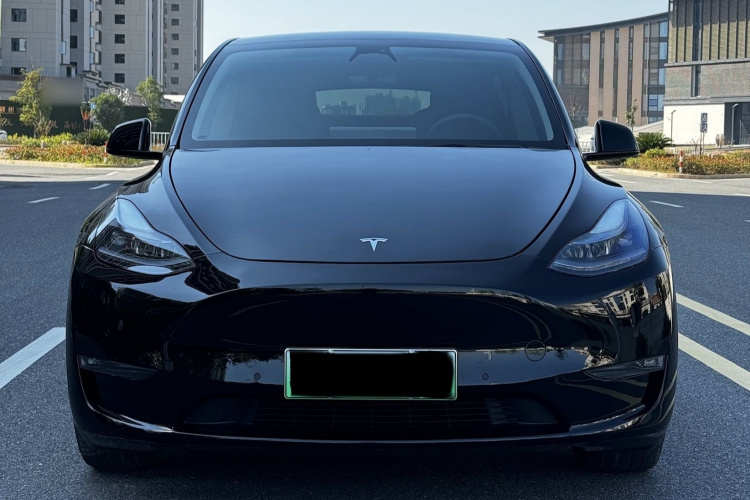 特斯拉 Model Y 2021款 标准续航后驱版车身外观6001