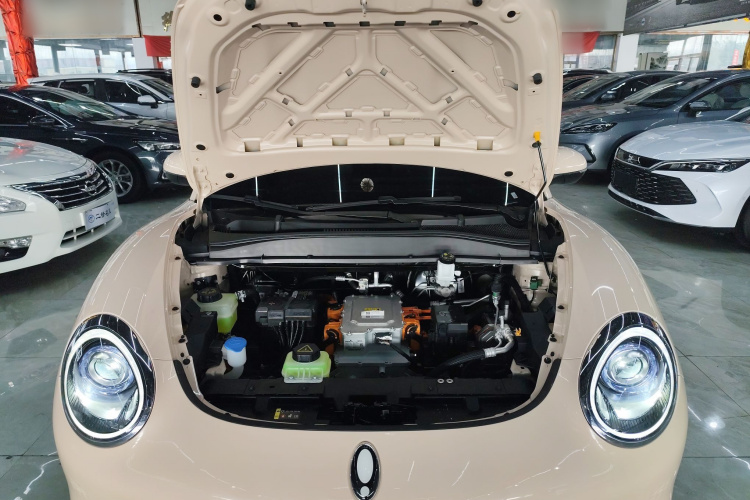 欧拉好猫 2024款 401km 豪华型机舱底盘24