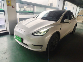 特斯拉 Model Y 2021款 Performance高性能全轮驱动版