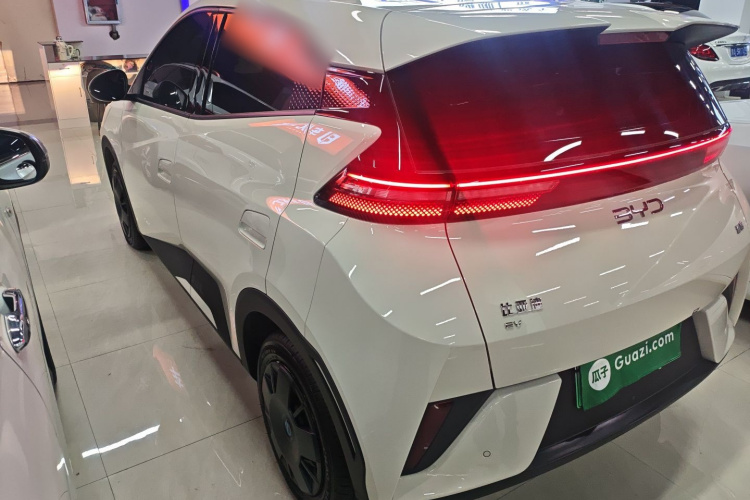 比亚迪 海鸥 2025款 智驾版 305km 活力版车身外观4