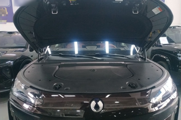 腾势N9 2026款 尊越型局部细节24