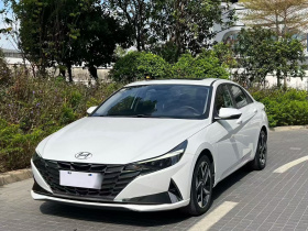 现代 伊兰特 2021款 1.5L CVT LUX尊贵版