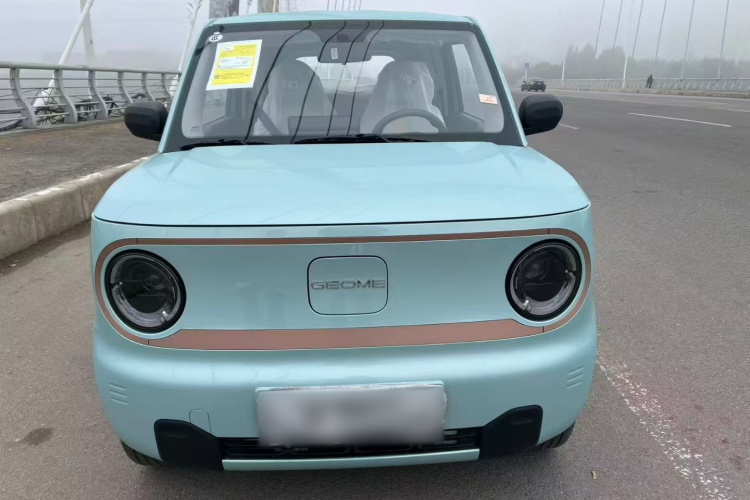 吉利银河 2024款 熊猫mini 200km 耐力熊车身外观6001