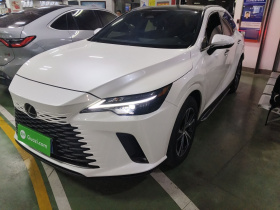 雷克萨斯RX 2023款 350h 两驱舒享版