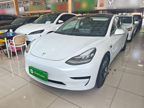 特斯拉 Model 3(进口) 2019款 标准续航后驱升级版(60度)