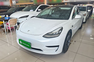 特斯拉 Model 3(进口) 2019款 标准续航后驱升级版(60度)