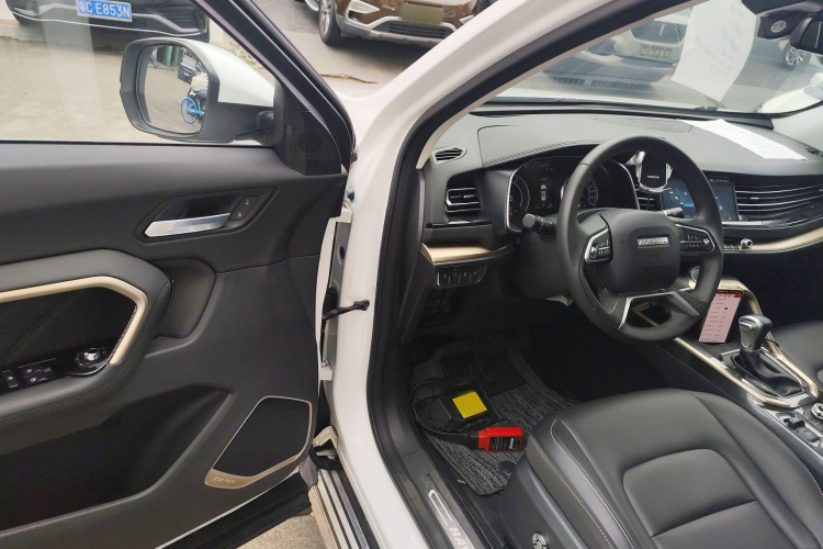 哈弗H6 2019款 蓝标 2.0GDIT 自动豪华智联版中控内饰7003