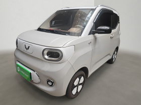 五菱汽车 宏光MINIEV 2024款 第三代 215km 进阶版