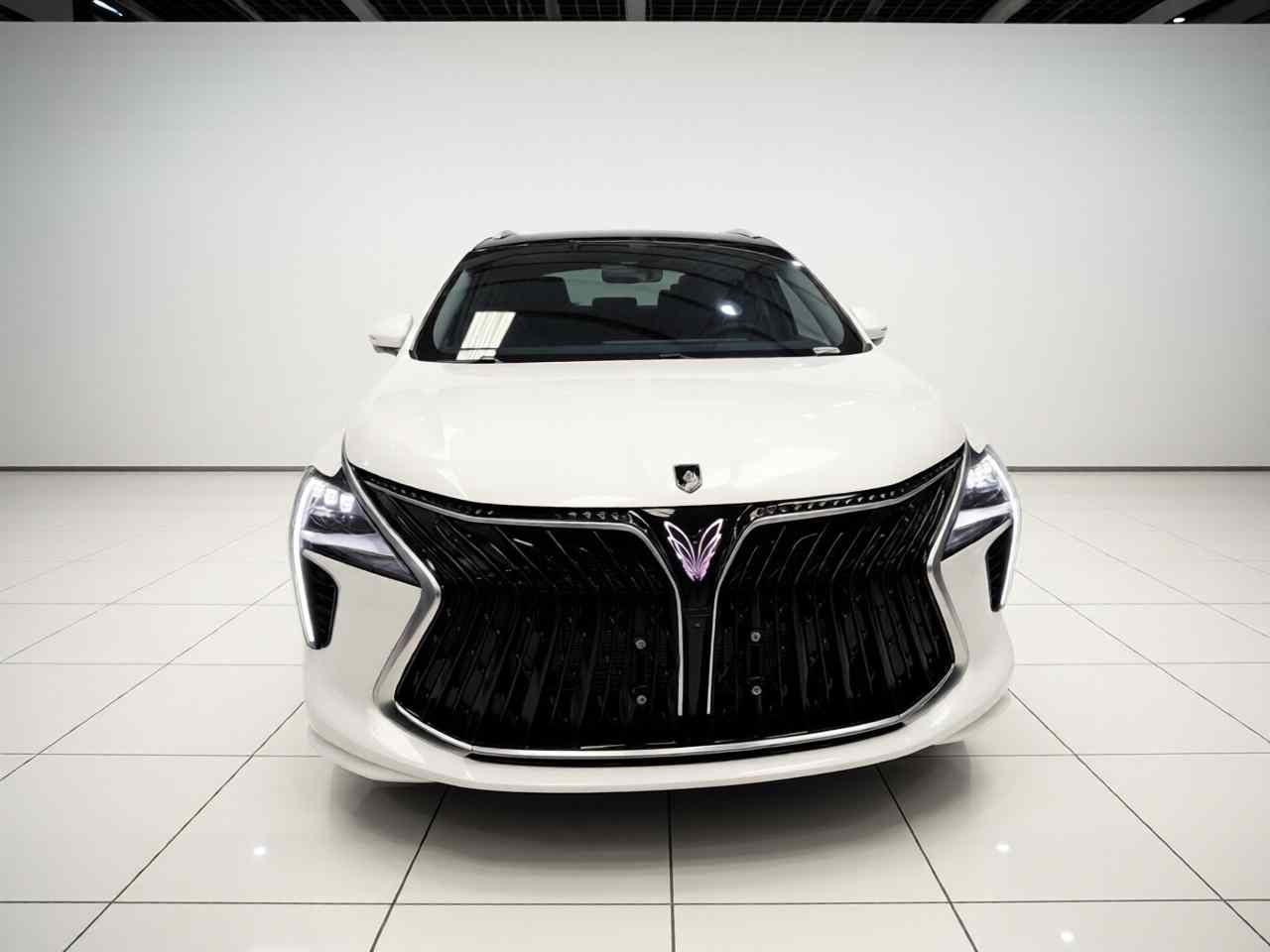 东风风行 风行游艇 2024款 1.5T DCT 观海版(1)