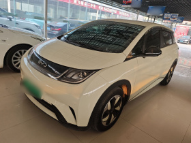 比亚迪 海豚 2025款 420km 自由版