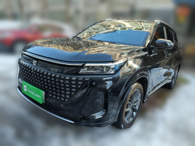 蓝电E5 2023款 1.5L DE-i 100KM畅享型 7座