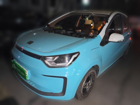 思皓 花仙子 2021款 302km 时尚型 31.4kWh