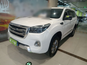 哈弗H9 2020款 2.0T 汽油四驱尊享型 5座