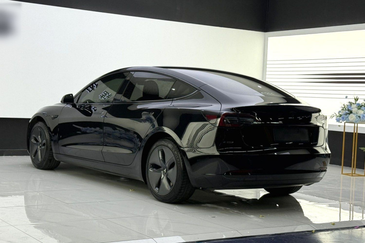 特斯拉 Model 3 2020款 标准续航后驱升级版车身外观6004
