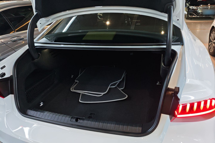 奥迪A7L 2022款 55 TFSI quattro S-line 志远型流晶套装局部细节23