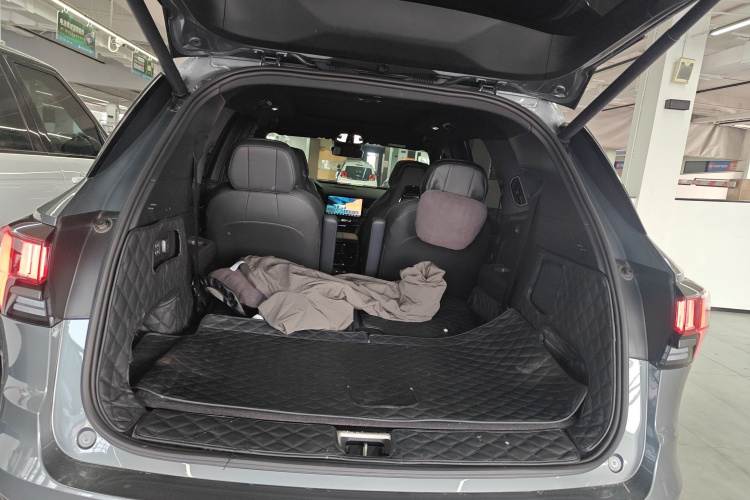 领克09 EM-P 2021款 2.0T PHEV Halo 六座局部细节23