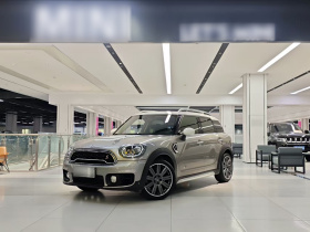 MINI Countryman 2018款 2.0T COOPER S ALL4 艺术家
