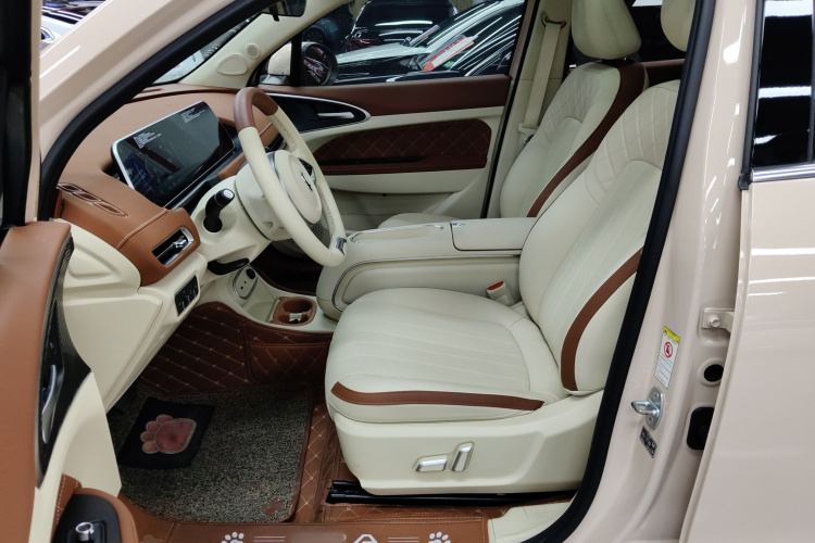 欧拉好猫 2023款 401km标准续航 尊荣型 磷酸铁锂局部细节19