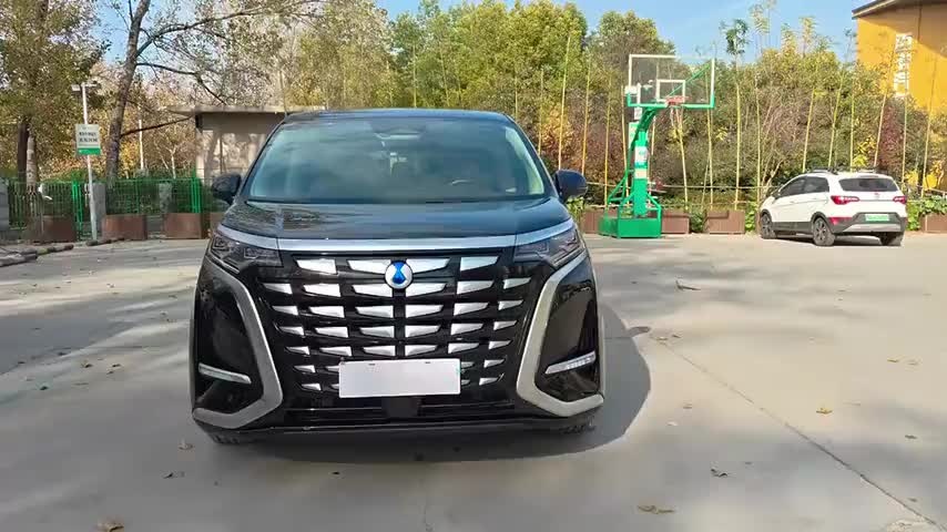 腾势D9 2024款 DM-i 1050 尊享型实拍1