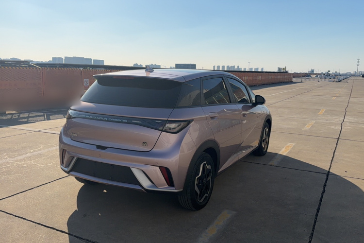 比亚迪 海豚 2021款 405km 时尚版车身外观6006