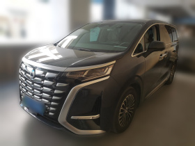 腾势D9 2022款 DM-i 1040 尊贵型