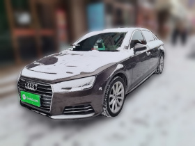 奥迪A4L 2017款 Plus 45 TFSI quattro 风尚型