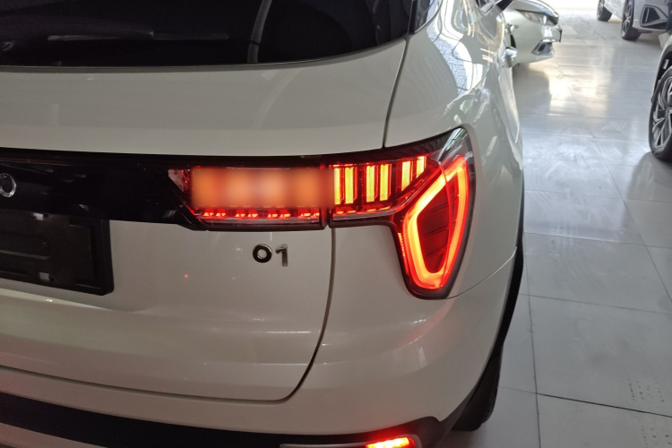 领克01 2019款 2.0T 两驱型Pro版 国VI车身外观9