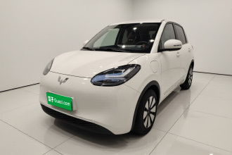 五菱汽车 五菱缤果 2023款 333km 悦享+款