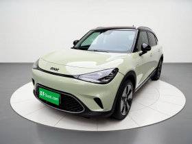 smart精灵#1 2022款 Premium版