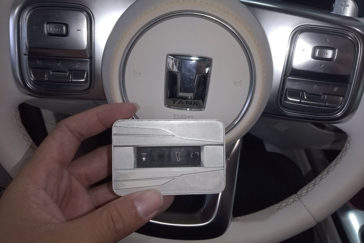 超境汽车 共创坦克300 2021款 2.0T 赛博坦克中控内饰7001