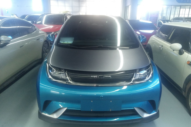 比亚迪 海豚 2021款 401km 骑士版车身外观6001