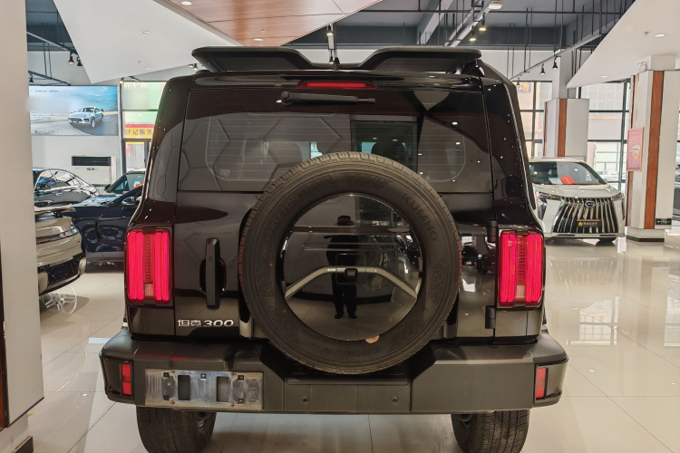 坦克300 2024款 2.0T 征服者车身外观6004