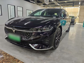 岚图汽车 岚图追光 2024款 PHEV 四驱超长续航行政版