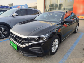 大众 帕萨特 2024款 280TSI 商务版