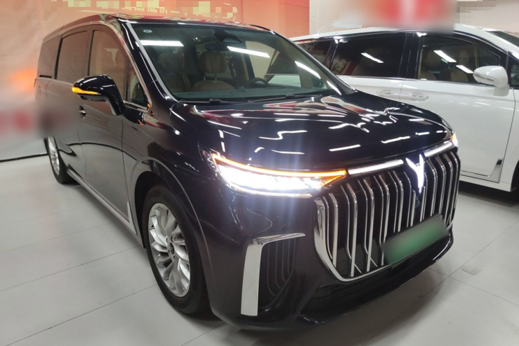 岚图汽车 岚图梦想家 2022款 低碳版 想+智驾包车身外观6002