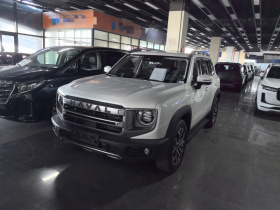 哈弗大狗 2024款 1.5T DCT边牧版