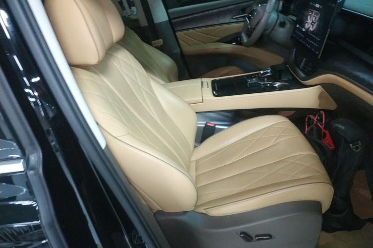 腾势D9 2022款 DM-i 1040 尊贵型局部细节41