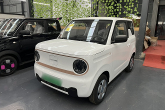 吉利银河 2024款 熊猫mini 200km 耐力熊