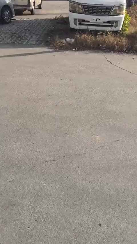 雪佛兰 科沃兹 2016款 1.5L 手动欣享版讲解2