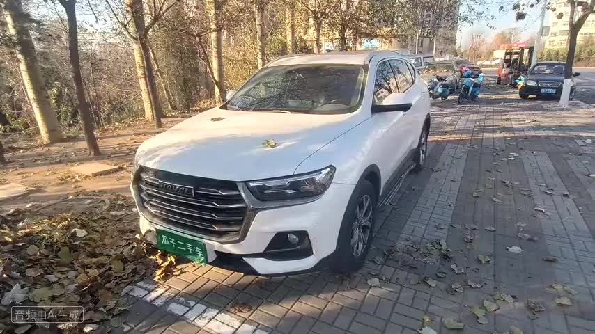 哈弗H6 2021款 国潮版 1.5GDIT 自动冠军版检测视频1