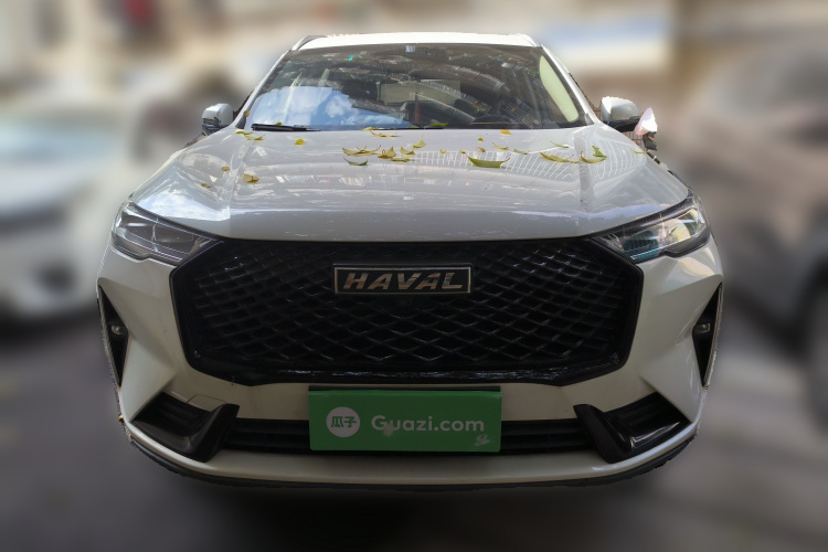 哈弗H6 2021款 第三代 2.0T 自动四驱Max车身外观6001